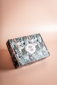 Cardboard Box - Spotted Gum